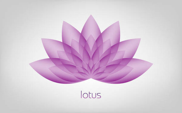 Purple Lotus Floral Artistry 